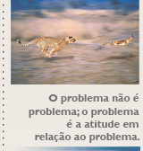 O problema não é o problema; o problema é a atitude em relação ao problema.
